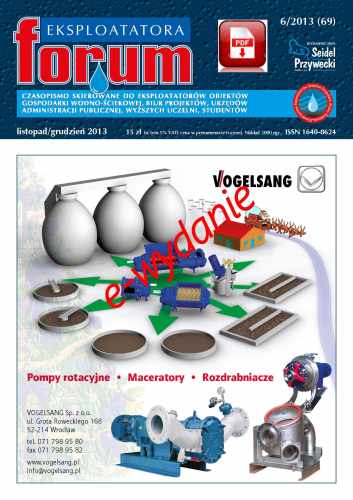 okładka FE-2013-6s.jpg