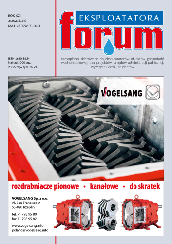 Okładka_FE-2021-3.png