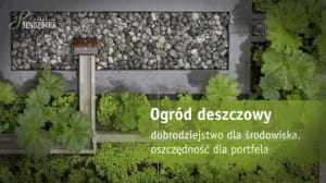 Ogród deszczowy: Dobrodziejstwo dla środowiska, oszczędność dla portfela
