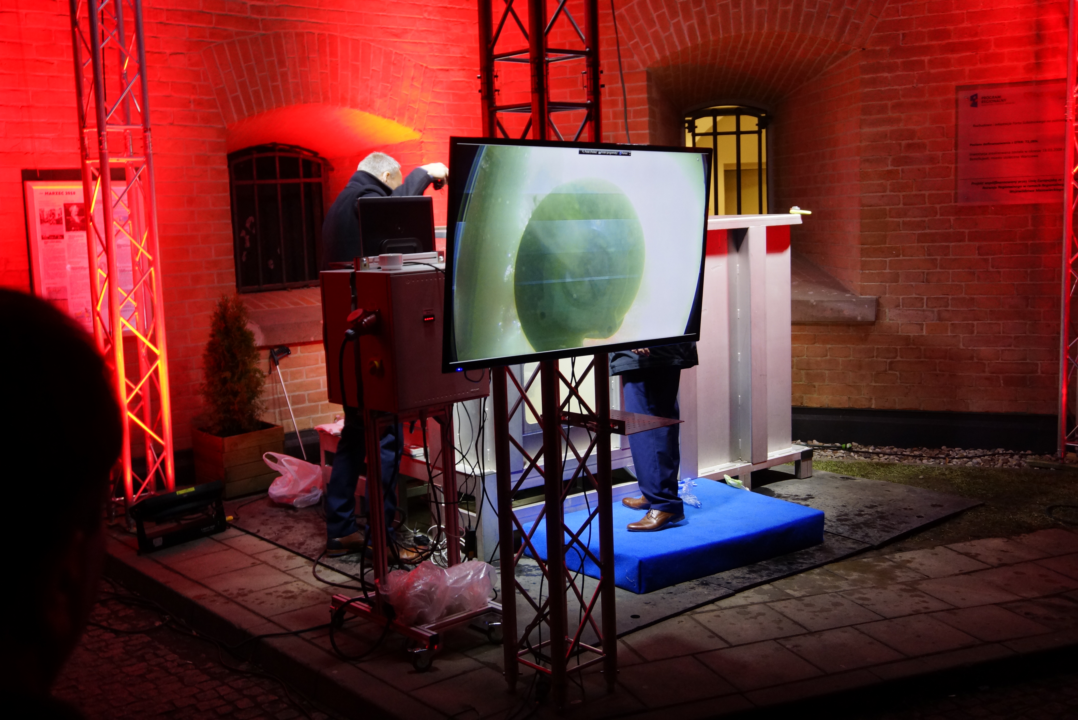 Xylem 03